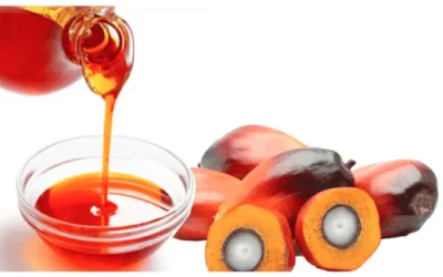 Factory Price Red Palm Oil Malaysia: Health Benefits, Uses, Price 2026 & Global Suppliers