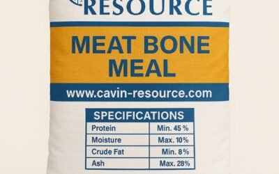Meat and Bone Meal (MBM): Benefits, Uses & Wholesale Supply Near Amsterdam and Haarlem